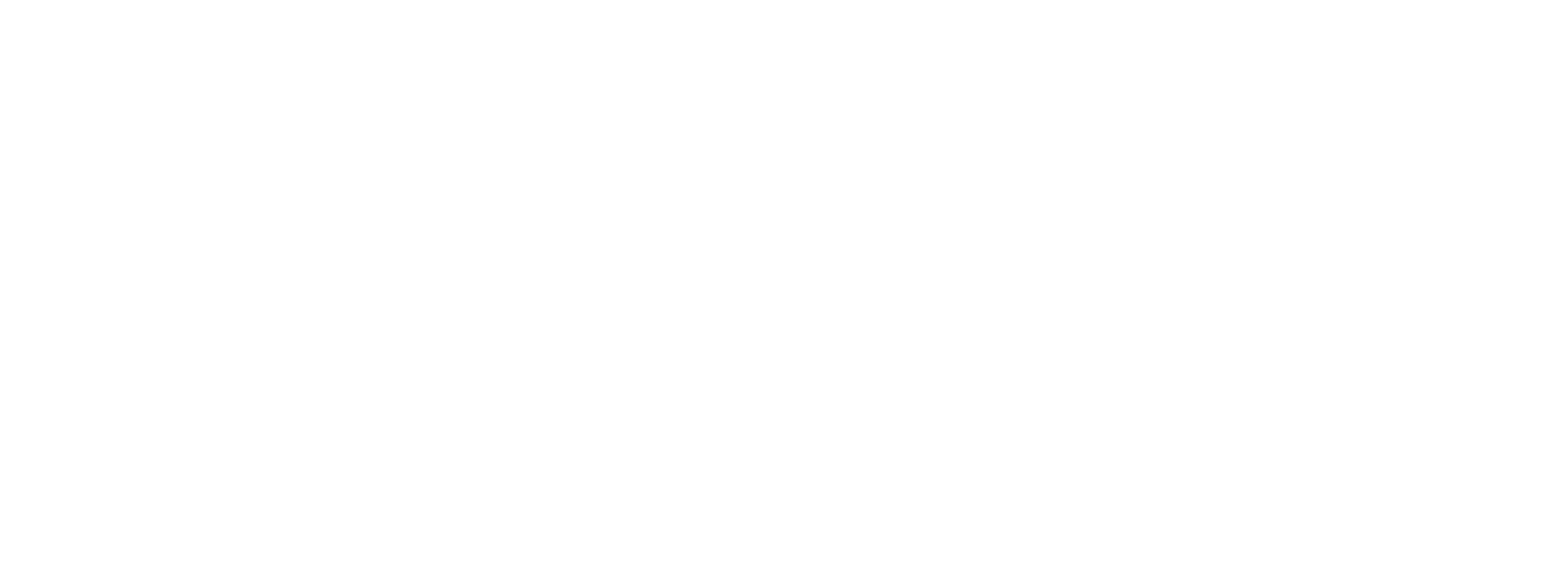 AIZOV DIGITECH